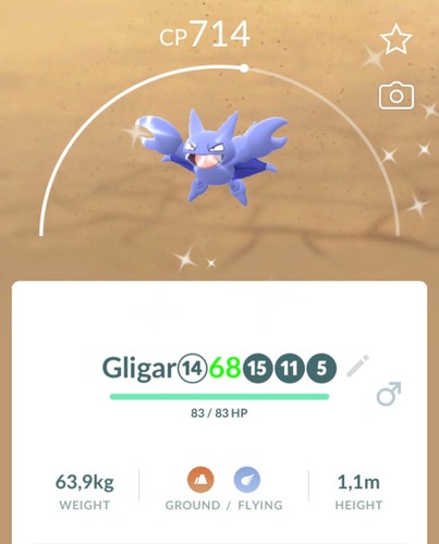Pokemon shiny gligar - pokemon✨shiny, gligar💥tra