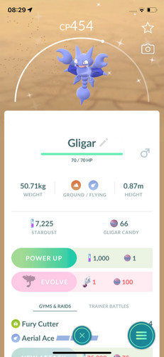 Pokemon gligar lucido - pokemon,