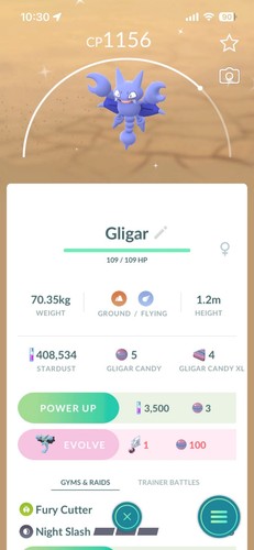 Pokemon shiny gligar - shiny,